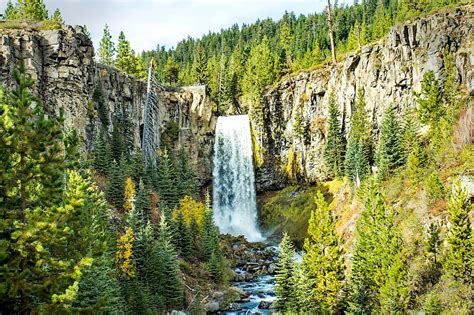 Deschutes national forest. Things To Know About Deschutes national forest. 
