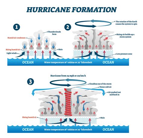Describe In Detail How A Hurricane Forms