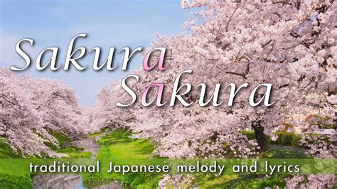 Describe The Melody And Form Of The Song Sakura - QnA