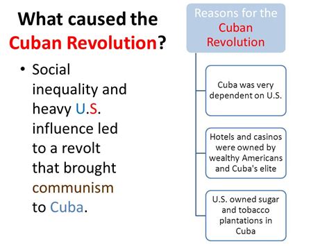 Describe the Causes and Discuss the Effects of the Cuban Revolution.