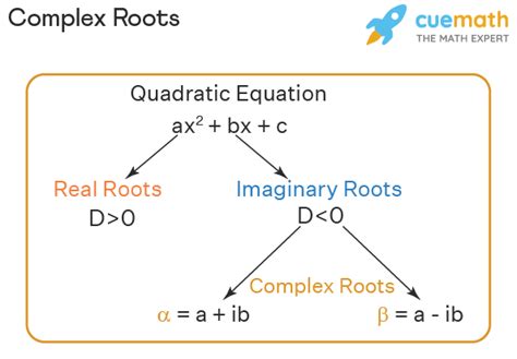 Describe the roots of the equation shown below. 2.  There are two complex roots.  W...