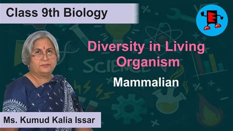 Describing Mammalian Diversity - YouTube