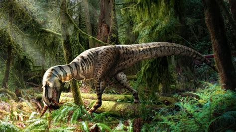 Descubren fósil de tiranosaurio con su última comida perfectamente conservada en el estómago