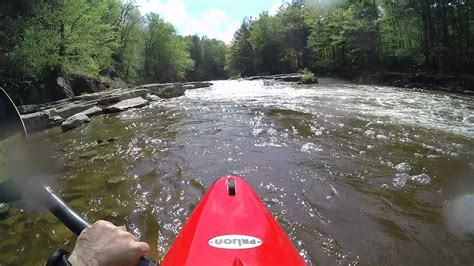 Deseados Mehoopany Creek