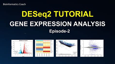 Deseq2 tutorial r studio.  Nov 13, 2025 · A tutorial describing the use of numeric cont...