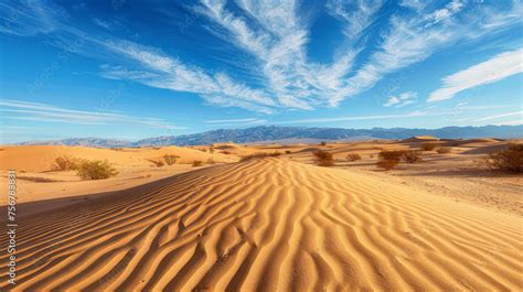 Desert Leaked [PPV] 😈