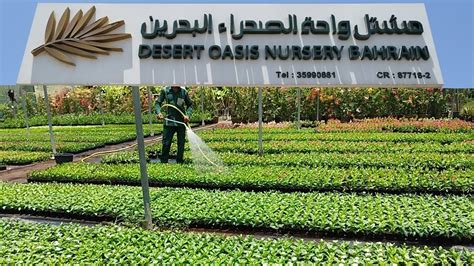 Desert Oasis Nursery Bahrain - Mazarea Hwy, Hamala, Bahrain