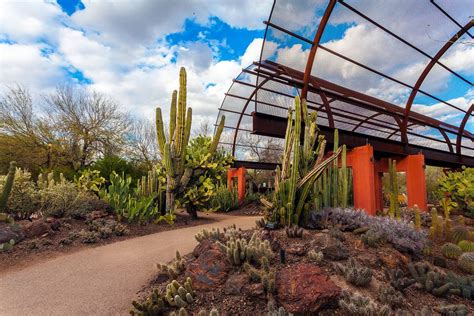 Desert botanical garden phoenix az. The Desert Botanical Garden is located just 6 miles and a 15-minute drive from the Phoenix Sky Harbor International Airport. The garden’s paved pathways are … 