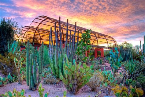 Desert botanical garden photos. See all things to do. Desert Botanical Garden. 4.5. 9,151 reviews. #4 of 431 things to do in Phoenix. Gardens. Open now. 8:00 AM - 8:00 PM. Write a review. 