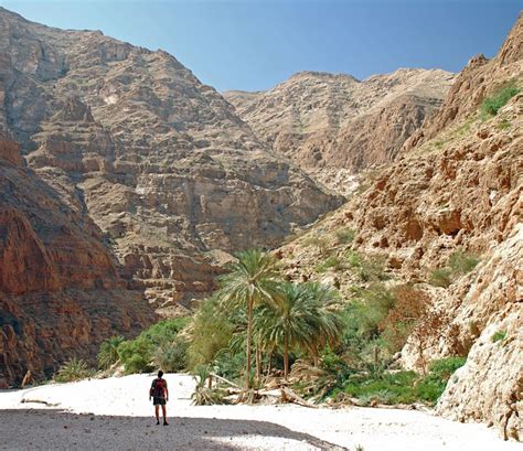 Desert tears: exploring Oman’s land of frankincense