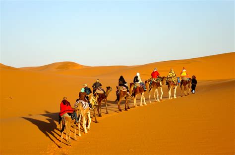 Desert turizm