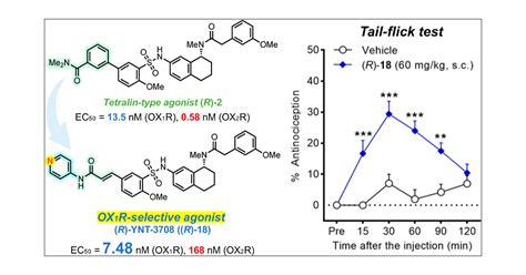 Design and Synthesis of Orexin 1 Receptor-Selective Agonists Journal …