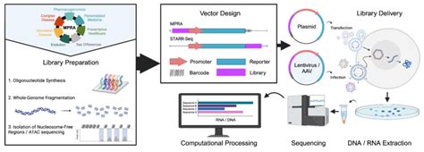 Design tools for MPRA experiments - Wikidata