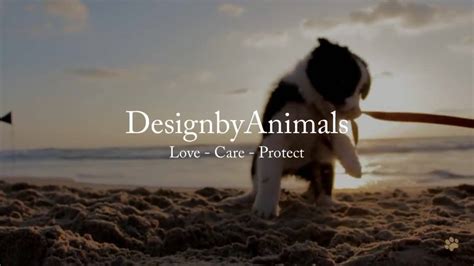 Designbyanimals - Home - Facebook