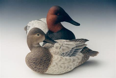 Designers - The Canvasback