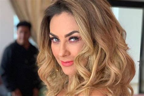 Aracely Arambula Facts: *She was discovered in 1993 when she was chosen for the "Face of the year". *She writes and performs her own songs. She also plays guitar. *She dated Fernando Colunga from 2000 until 2001. *She was once in a relationship with actor Eduardo Verastagui and Pablo Montero.