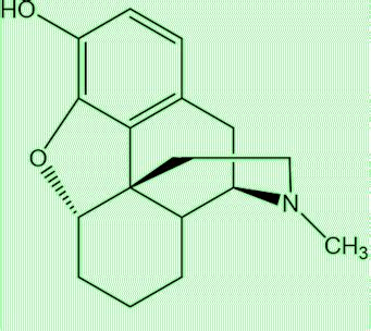 Desomorphine (Krokodil) - Molecule of the Month - February