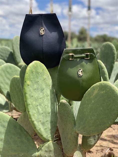 Desserto leather. Nov 5, 2019 · November 5, 2019. 581,864 Likes. Mexican entrepreneurs Adrián López Velarde and Marte Cázarez recently debuted Desserto, the first organic leather made entirely from the nopal (or prickly-pear) cactus. The entrepreneurs’ aim was to create a sustainable, cruelty-free alternative to animal leather. 