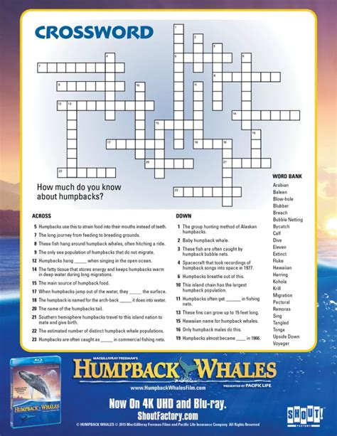 Destination for migrating humpback whales crossword. Find the latest crossword clues from New York Times Crosswords, LA Times Crosswords and many more. ... Destination for migrating humpback whales 2% 5 ORCAS: Killer ... 