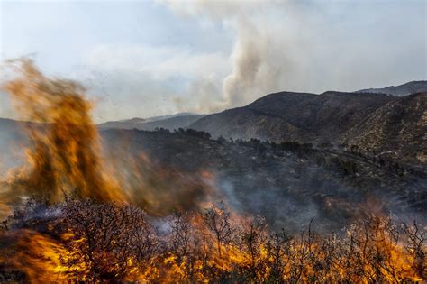 Destructive fire devastates Catalonia housing unit