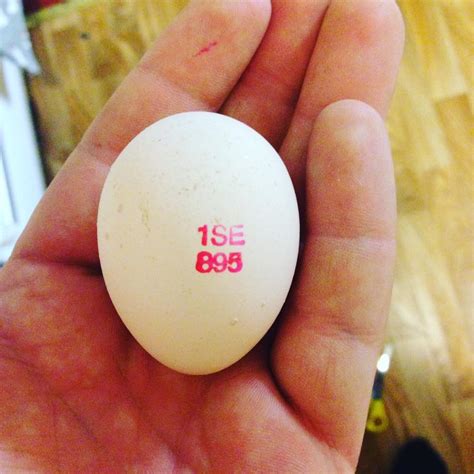 Det  denna plats  existerar boken  ifall ägg.