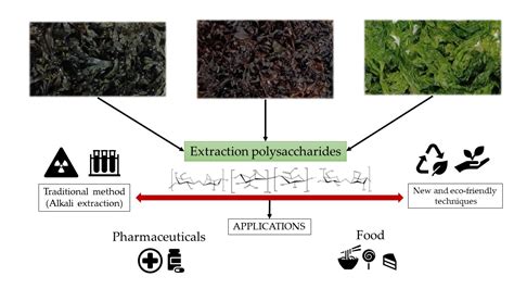 Detailed Analysis of Seaweed Extracts for Cosmetics and Food and ...