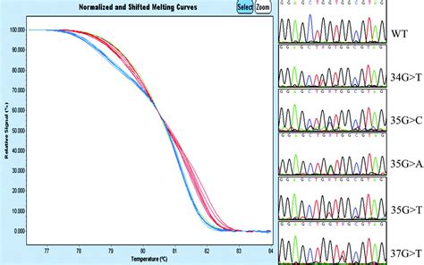 Detection of EGFR and KRAS mutations on trans-thoracic needle ...