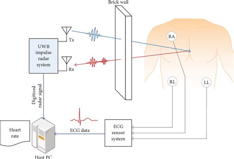 Detection of Heart Rate through a Wall Using UWB Impulse Radar