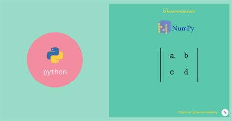 Determinant of a matrix in Python - etutorialspoint.com