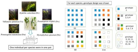 Determining suitable submerged macrophyte biomass in terms …