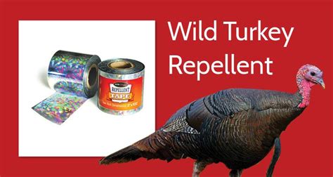 Deterring Wild Turkeys - creativecrittersolutions.org