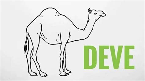 Deve Cizimi Pinterest. 