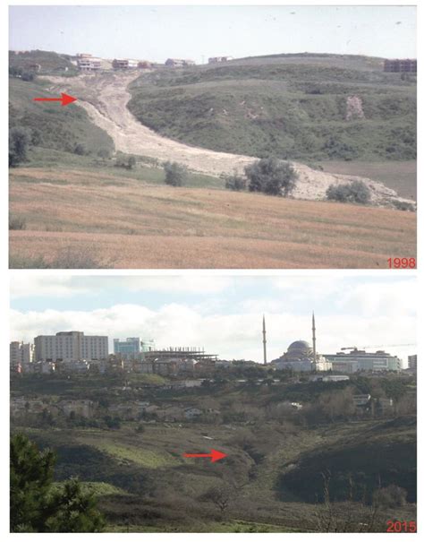 Devebagirtan Halı ve Koltuk Yıkama