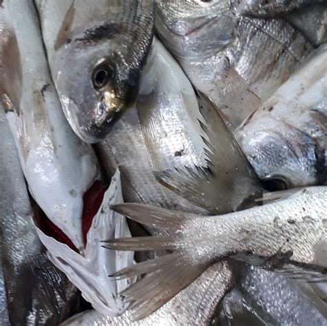 Deveciusagi Halı ve Koltuk Yıkama