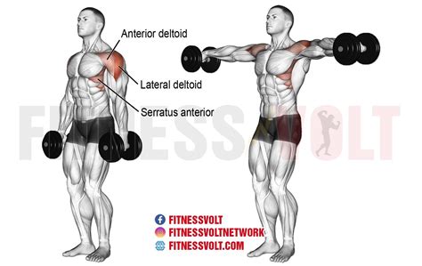 Develop shoulder strength with the side lateral raise exercise. Learn