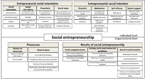 Developing Social Entrepreneurship
