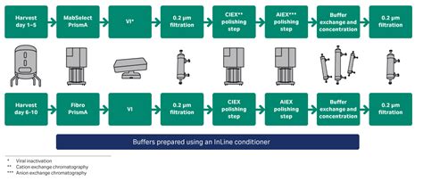 Developing a closed connected single use mAb purification process