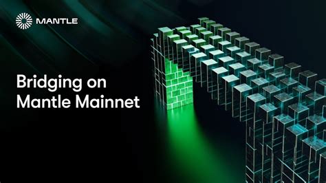 while mainnet diagram