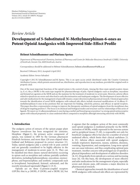 Development of 5-Substituted N-Methylmorphinan-6-ones as