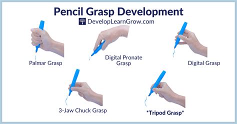 Development of Pencil Grasp How to Promote a Functional Grasp with 5