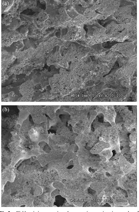 Development of a Powder Extruder System for Dual-pore Tissue