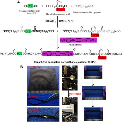 Development of dopant-free conductive bioelastomers