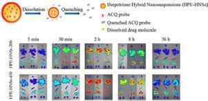 Development of herpetrione nanosuspensions stabilized by …