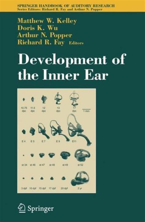 Development of the auditory system springer handbook of auditory research. - Hitachi ex120 1 parts catalogue manual download.
