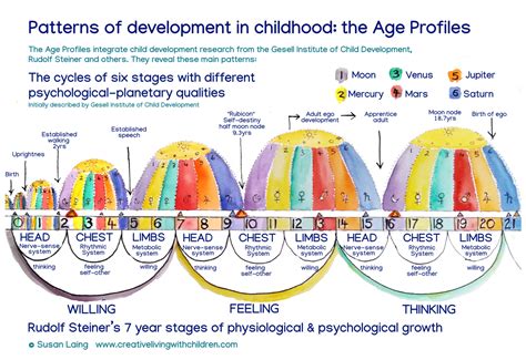 Developmental Patterning