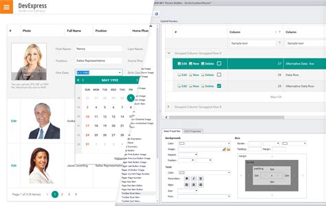 Devexpress bootstrap theme.  The example contains solutions both for server-sid...