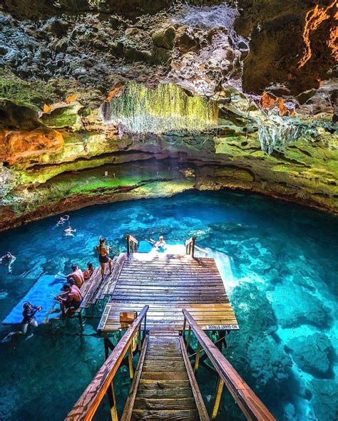 Devils den spring. In this video we explore the depths of Devil's Den Prehistoric Spring in Williston, FL. This place is located right next to Cedar Lakes Woods and Gardens. ... 