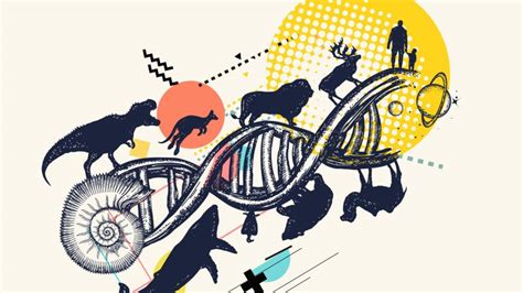 Devolution Definition and Examples Biology Online Dictionary