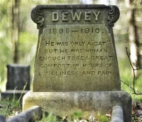 Dewey the cat died in 1910 and meant enough to his owner to be ... - Reddit