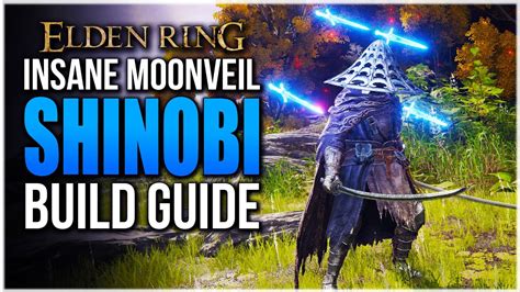 Dex int build elden ring. Nov 30, 2023 · In this guide, we explain how to craft a strong Intelligence build for a Sorcerer in Elden Ring. ... 10 DEX, and 60 INT, and will provide Sorcery scaling with 70 INT or higher, while having B ... 